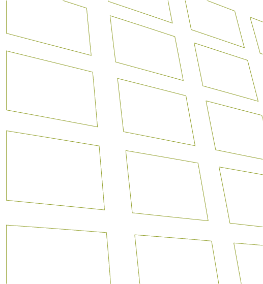 shape