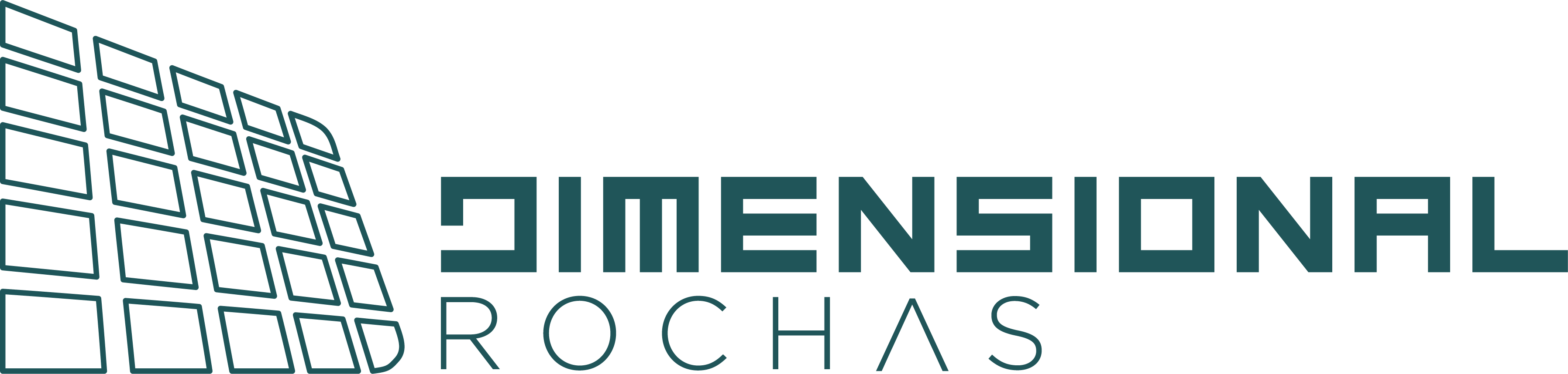 Logo Dimensional Rochas